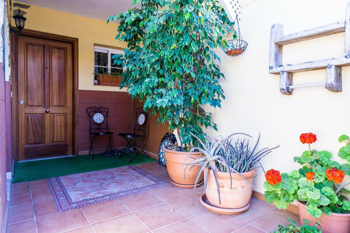Rooms In El Medano El Médano Exterior foto